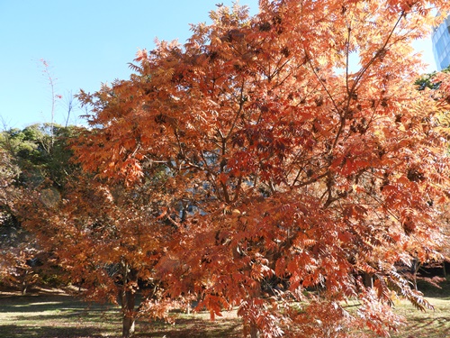 旧芝離宮恩賜庭園