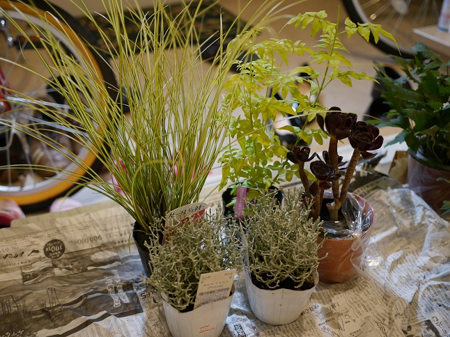 植え込み