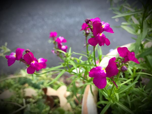 rblog-20161128164954-05.jpg