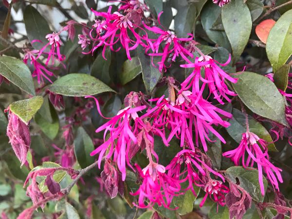 rblog-20180408181528-02.jpg