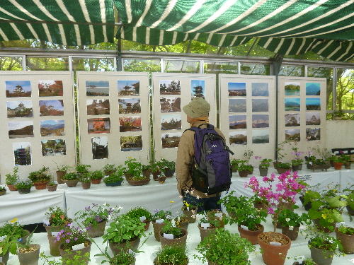 P1100335(1).JPG