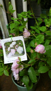 2013111518150000.jpg