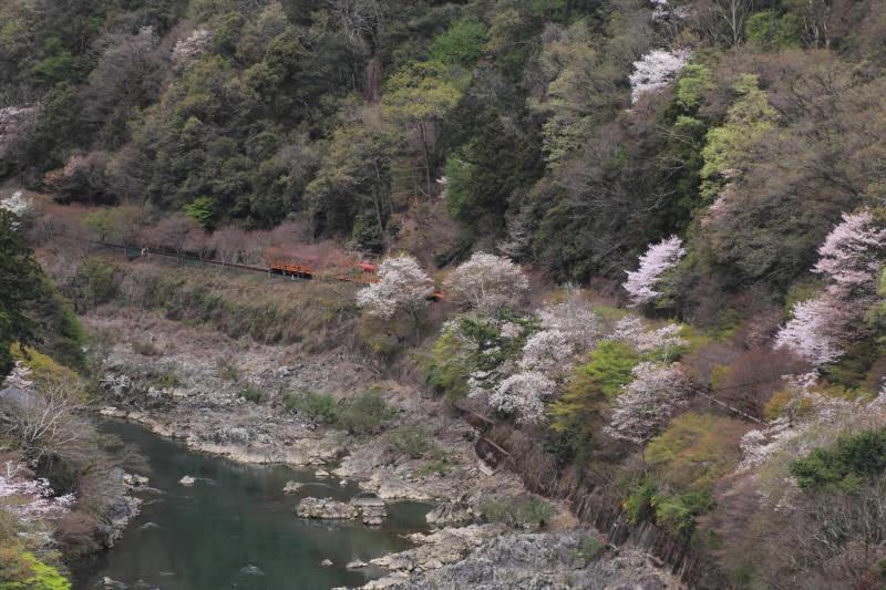亀山展望台（第一）_005.jpg