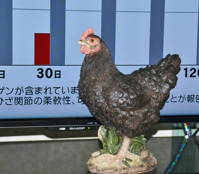 DSC_0143.JPG