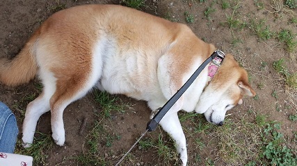 休憩２.jpg