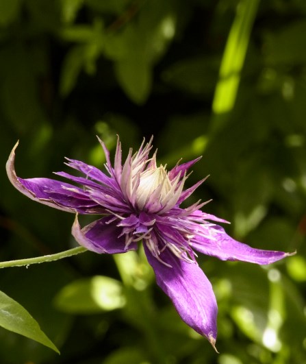 RIMG0533.JPG
