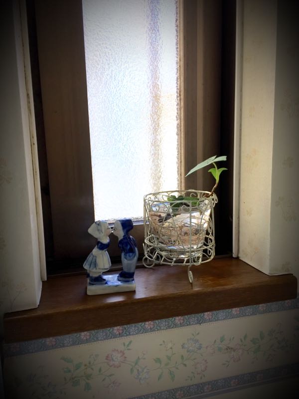 rblog-20151231120109-00.jpg