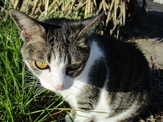 IMG_4198ss.jpg
