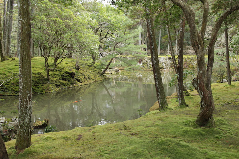 西芳寺３.JPG