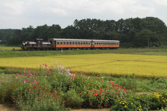 津軽鉄道  実りの秋と 旧型客車3