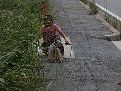 conv0712.JPG