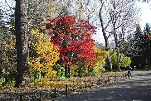 世界の庭園も閉園