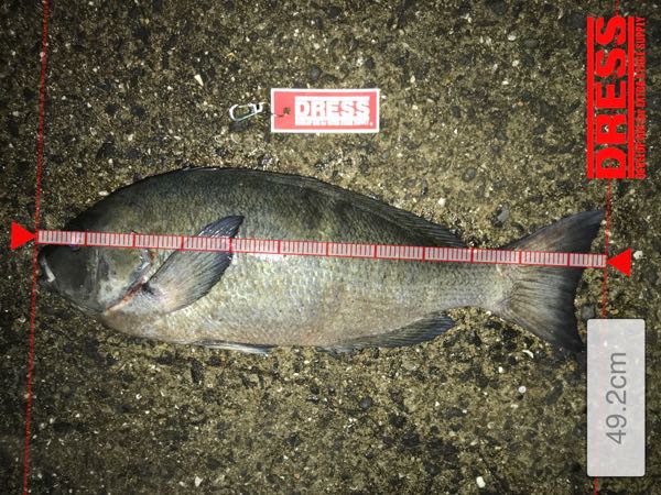 rblog-20180626063630-02.jpg
