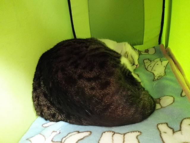 IMG_20180125_121634s.jpg