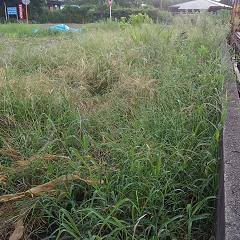DCIM04591.JPG