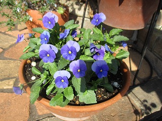 IMG_2671ss.jpg