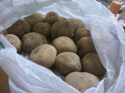 20120622 tsama.jpg