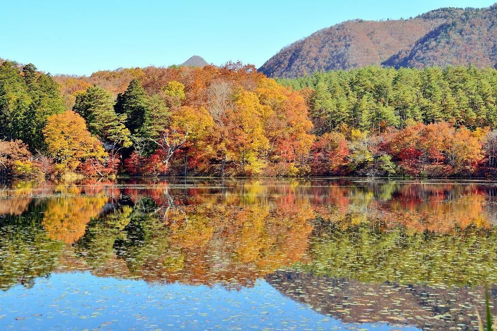 紅葉情報 福島 観音沼森林公園 ホテルハーヴェスト那須のブログ 楽天ブログ