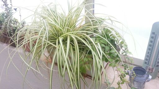 rblog-20140618155433-02.jpg