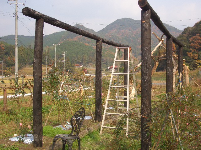 CIMG8022.JPG