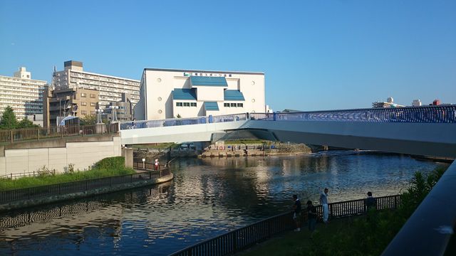 2015-08-22 16.43.53.jpg