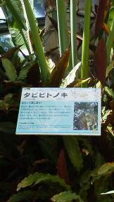 フォト♪ 216 - コピー.JPG