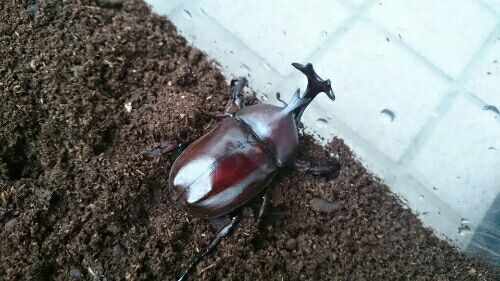 rblog-20160711193550-01.jpg