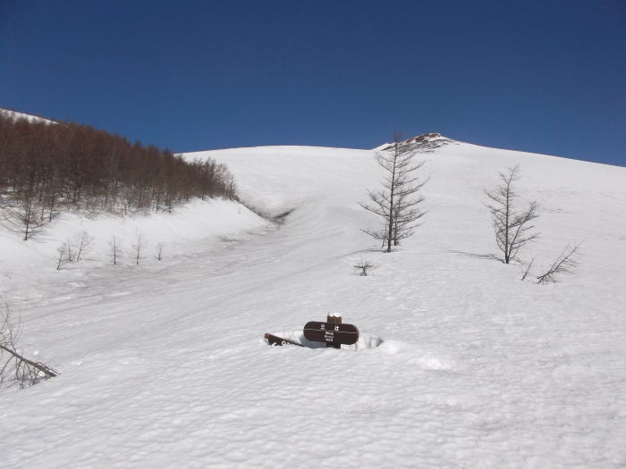0322m.jpg