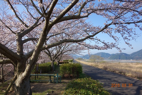 DSC02094.JPG
