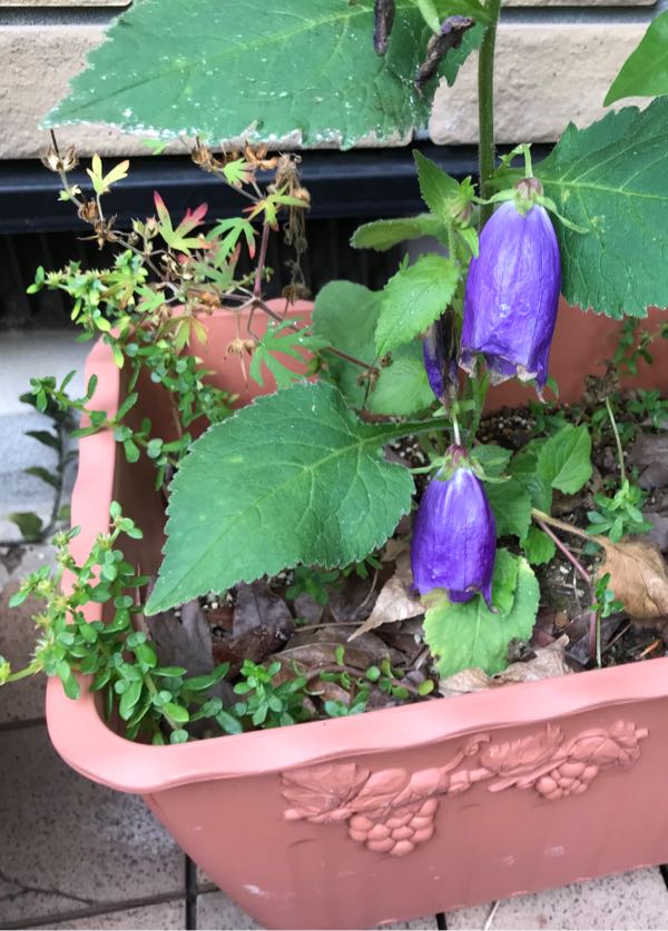 rblog-20180624180114-01.jpg