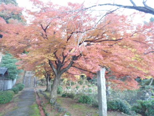 寺家公園