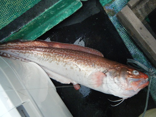 DSCF1793.JPG