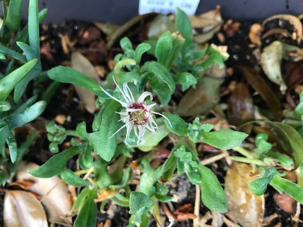 rblog-20180429182455-05.jpg