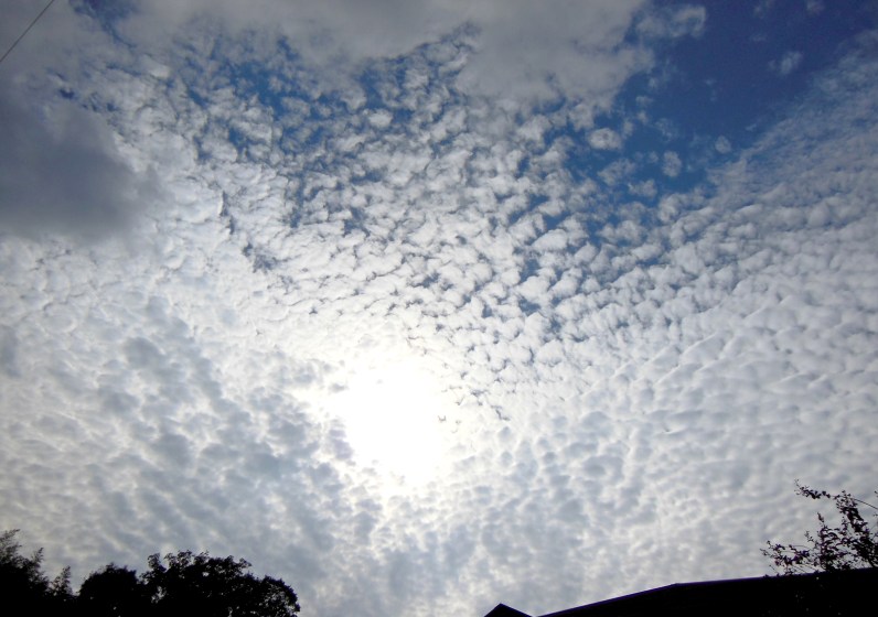 空