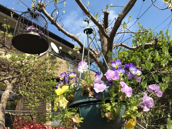 rblog-20180408162606-00.jpg