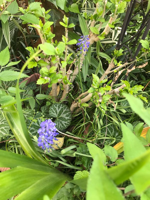 rblog-20190423182021-01.jpg