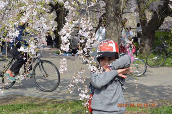 rblog-20180403113024-01.jpg