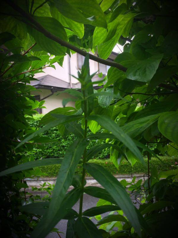 rblog-20160530191918-08.jpg