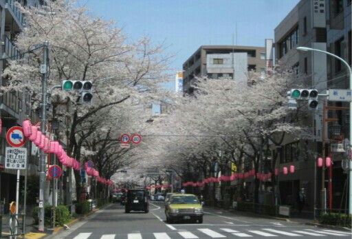 2014.04.02 中野