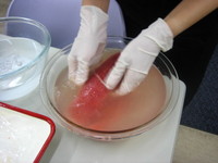 Photo_6