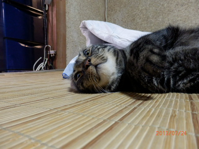 P7240330.JPG