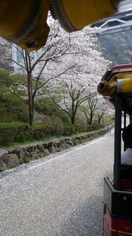rblog-20140410154647-00.jpg