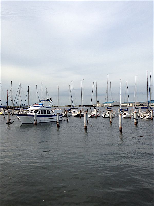 rblog-20140824184959-01.jpg