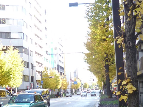 P1270593.JPG