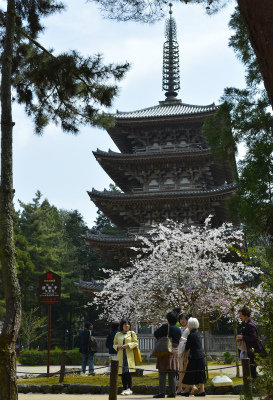 醍醐寺7