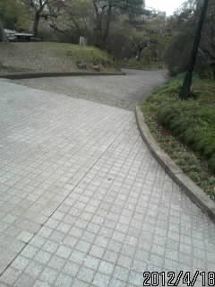 佐野城入り口２