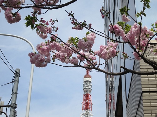 4-9 伏見三寳稲荷神社（ふしみさんぽういなりじんじゃ）.jpg