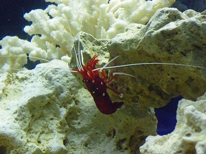20141129(7).jpg