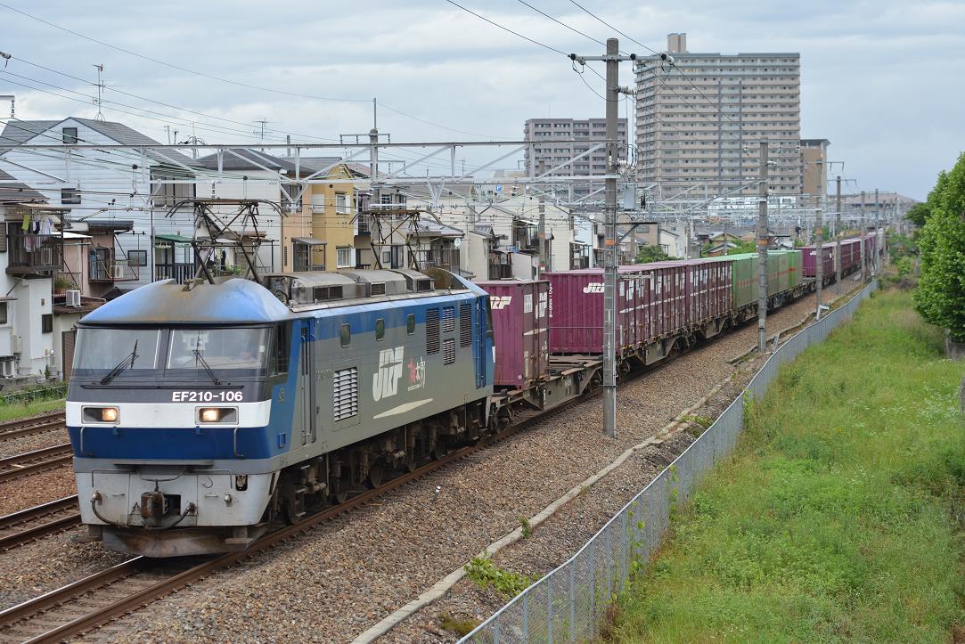 DSC_4350.JPG