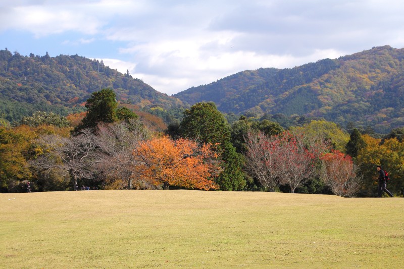 奈良公園・飛火野_006.jpg